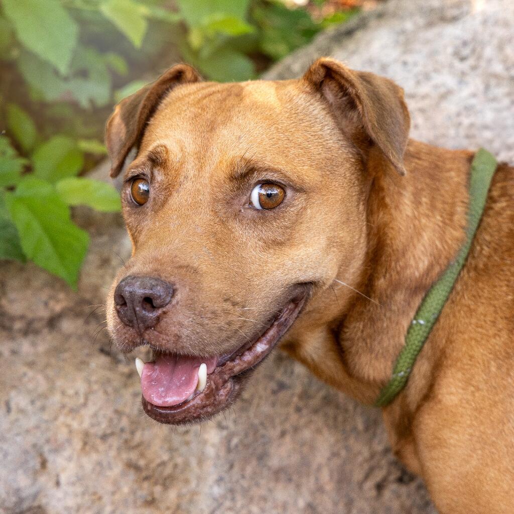 Mandarina - Animal ID: 1814