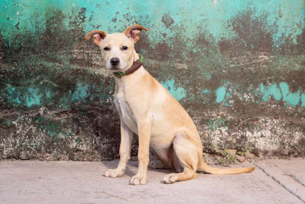 Lupita