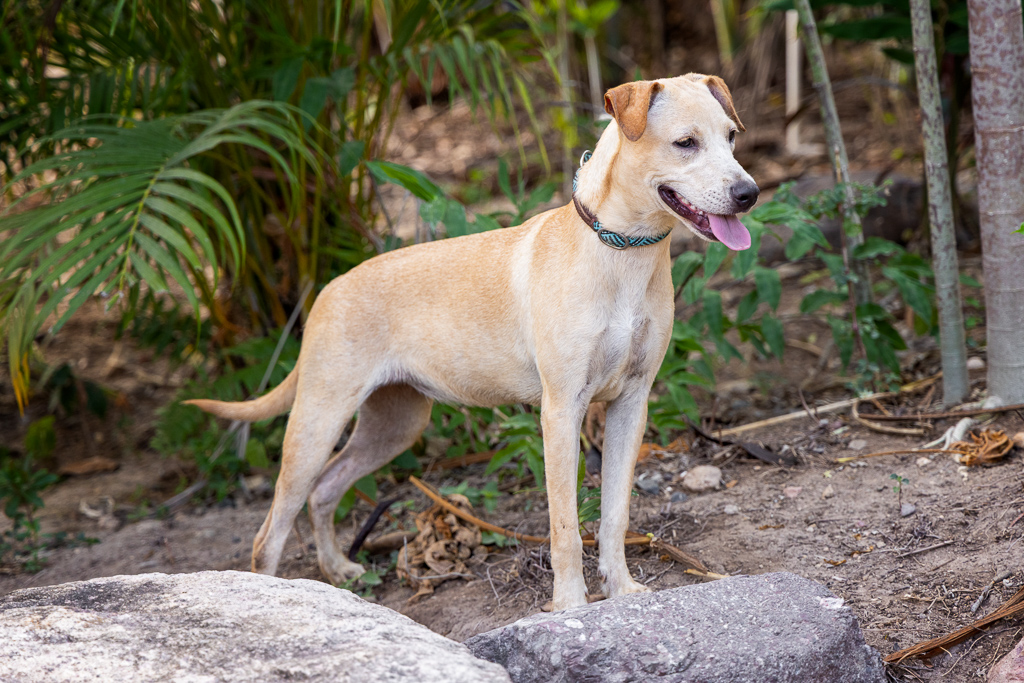 Lupita