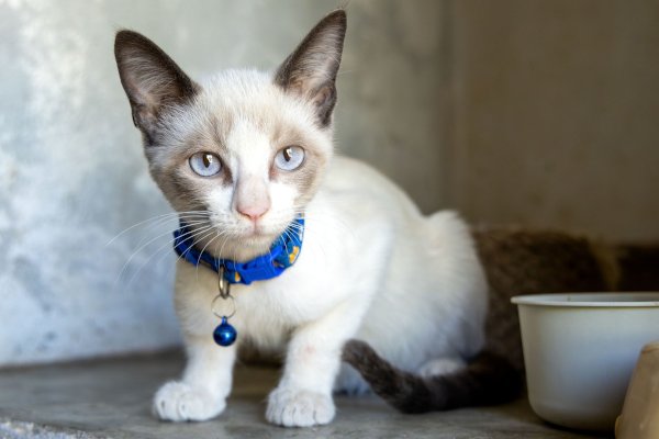 Joaquín