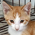Waldo
