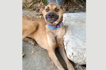 Frida