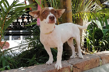 Lupita