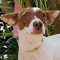 Lupita