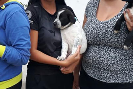 Tina